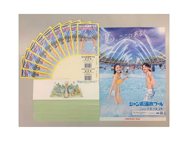 速達発送☆ナガシマスパーランド&ジャンボ海水プールの入場券(招待券 