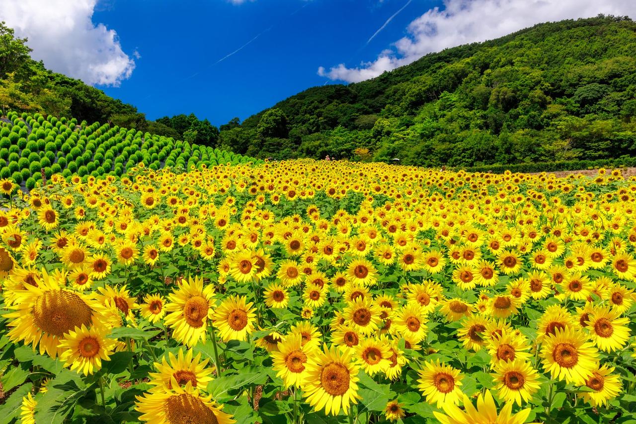 0D9A3979-1600x1067.jpg