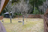 キャンプスタイルの宿　夢楽