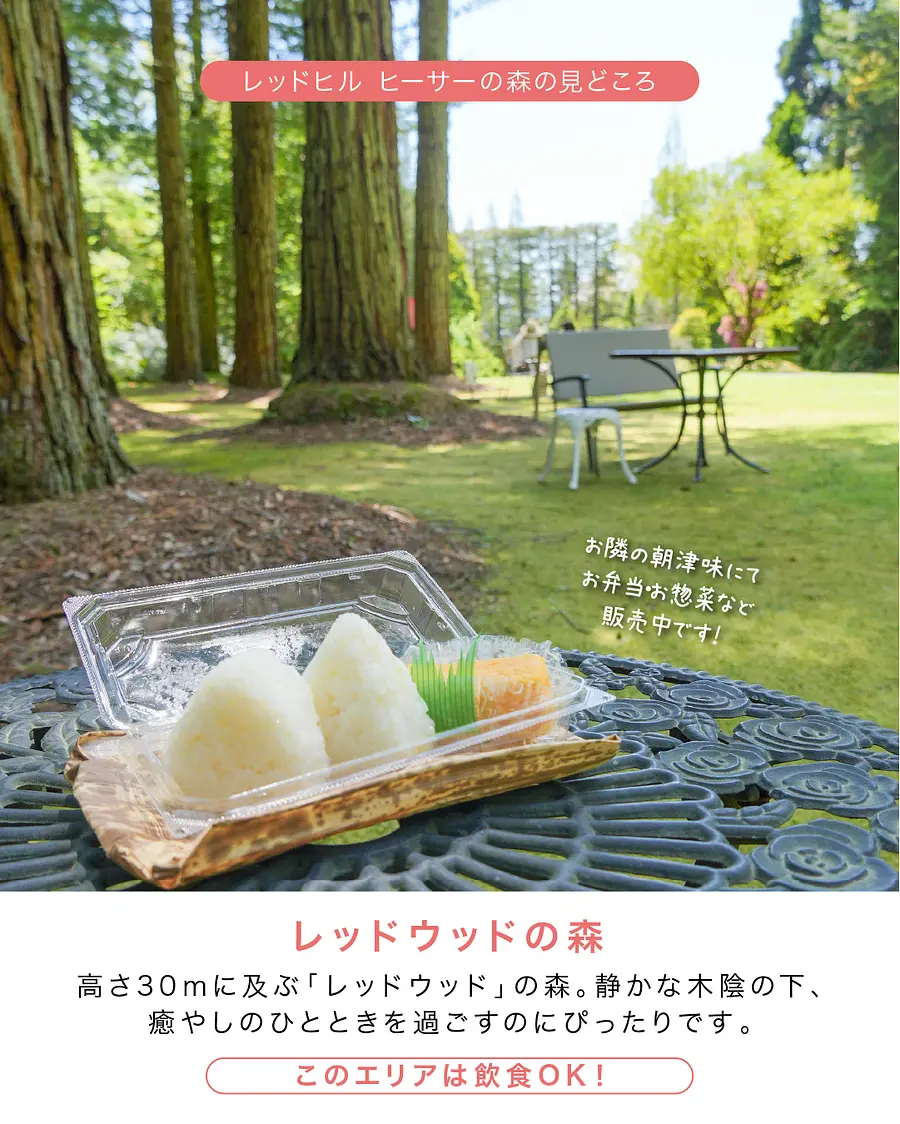 レッドヒル  ハッピースプリングフェスタ