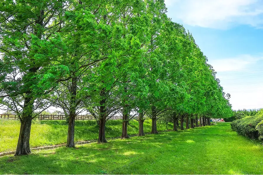 鈴鹿市・亀山市の公園・庭園・パーク特集！９ヶ所をご紹介♪