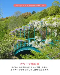 レッドヒル  ハッピースプリングフェスタ