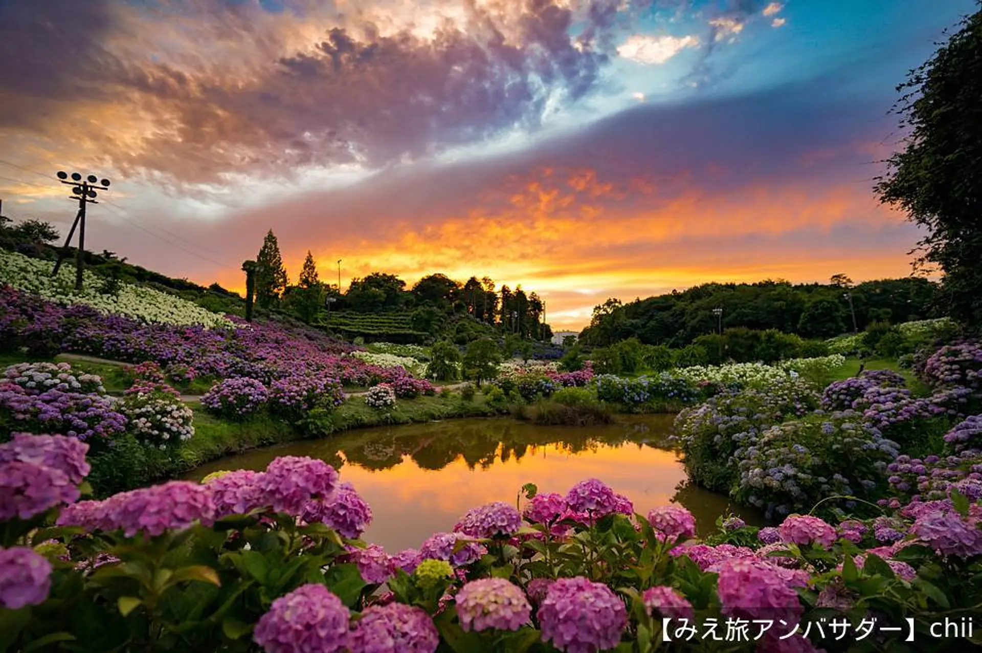 かざはやの里 夕景