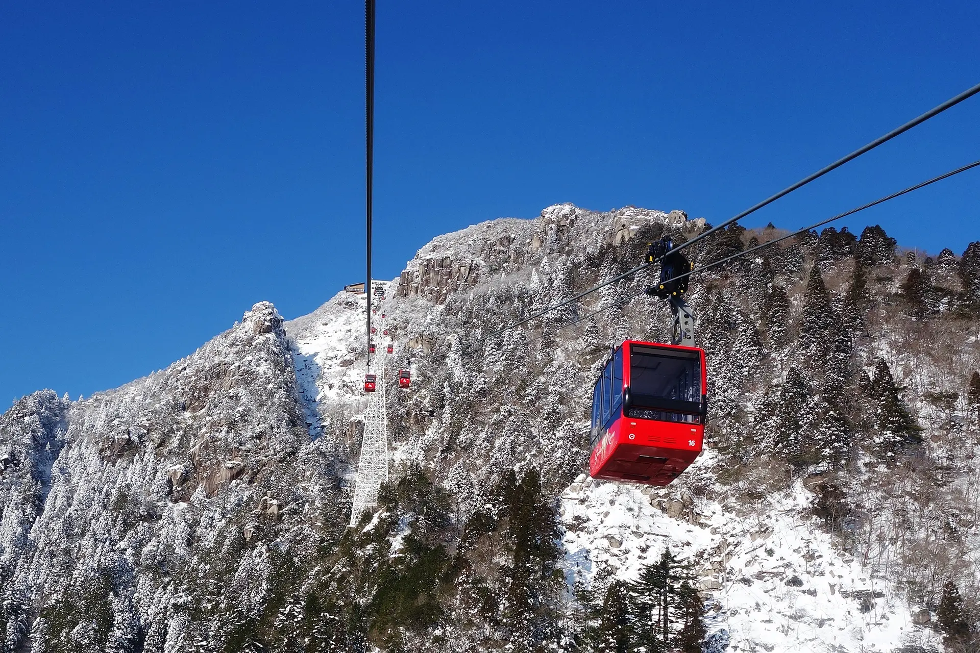 ropeway-new type