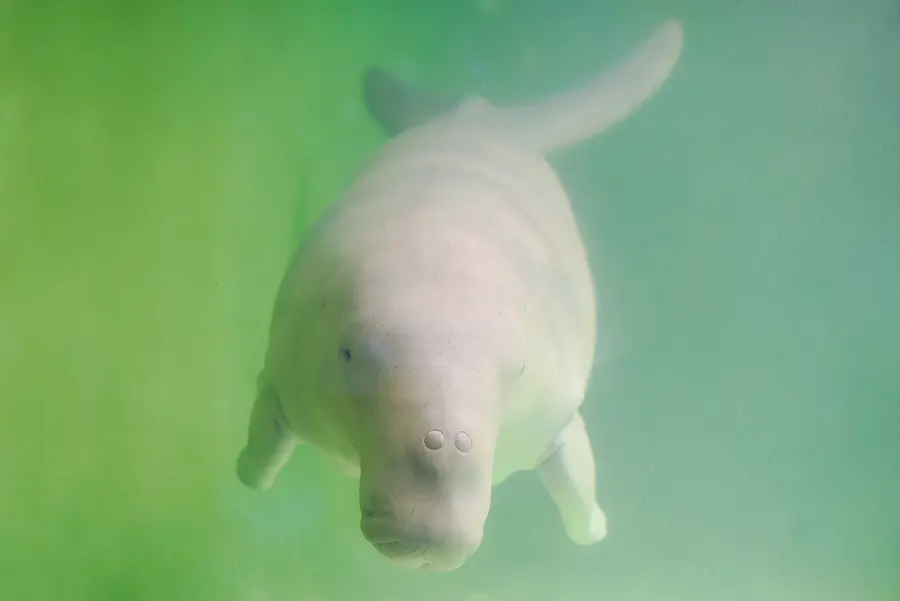 伊勢志摩癒し旅