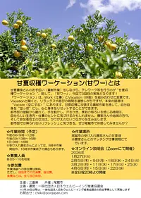 甘夏収穫ワーケーション