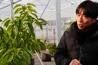 水沢ワイン代表・栽培家の五十嵐氏