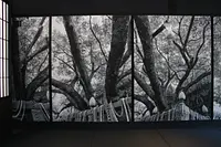 津・四天王寺で「歴史・器・食・空間」を体験する特別展示「味わう陶芸展」