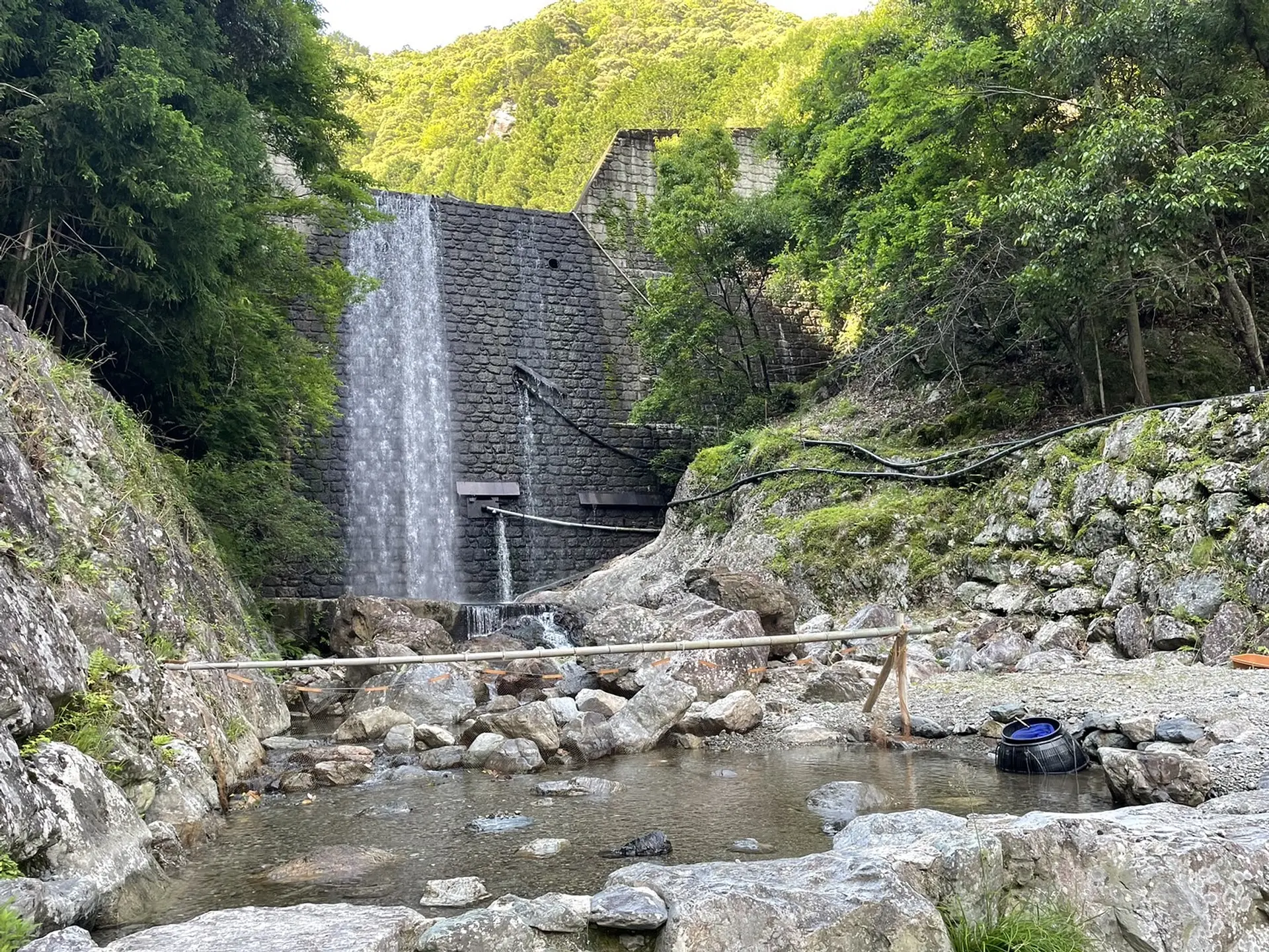 つかみ取りの場所