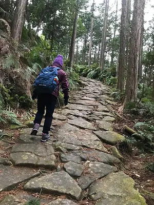 Caminata extrema Kumano Kodo Iseji ✕ ¡Acampar!