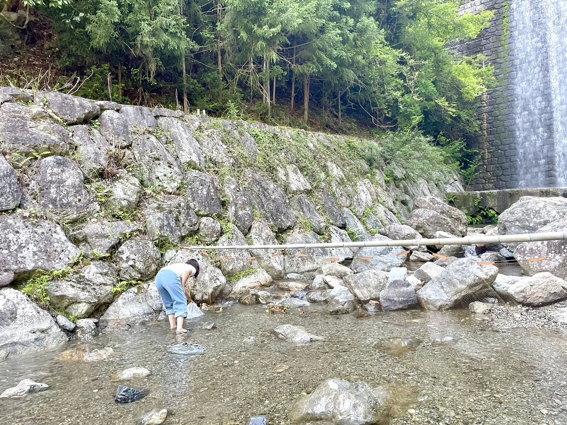 つかみ取りの様子
