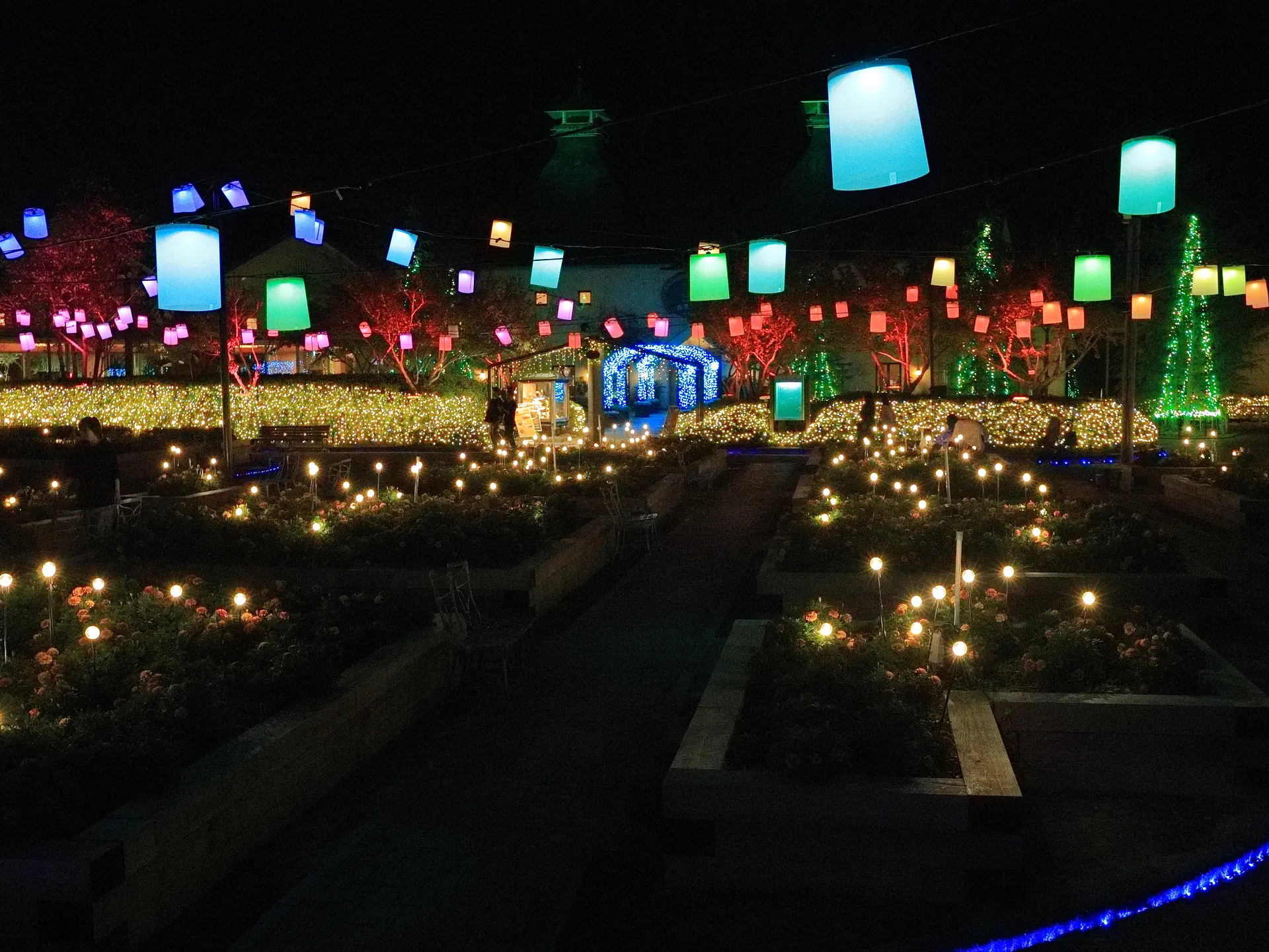 なばなの里イルミネーション2025　ランタンガーデン「光の花畑」