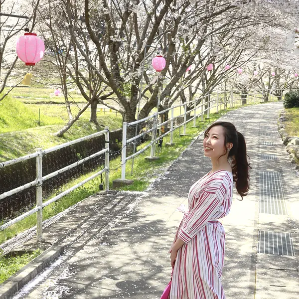 キャスターマミの画像