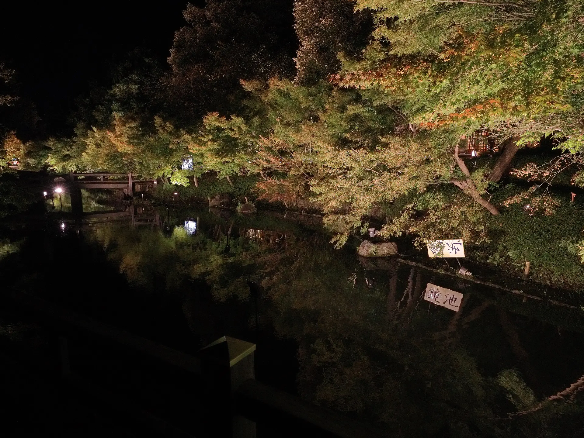 なばなの里イルミネーション2025　幻想的な雲海「霧に包まれたせせらぎ」