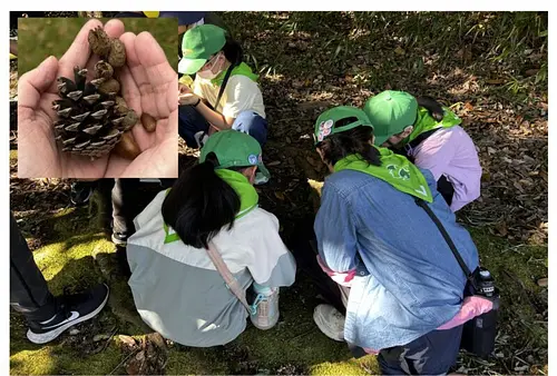 森のタカラモノみつけ隊