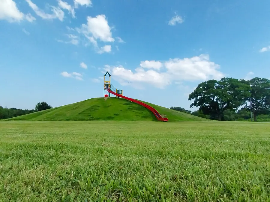 toboggan de montagne sur pelouse