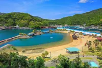 トロピカルガーデン