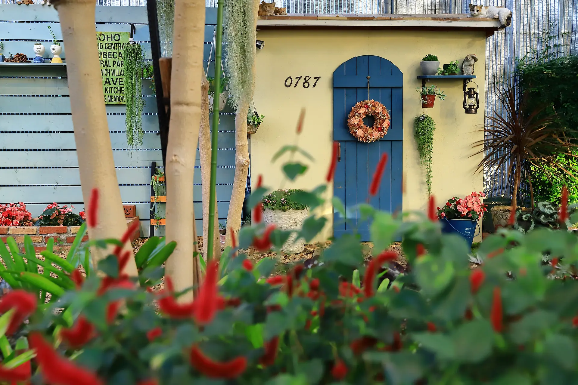 インスタ映えスポット