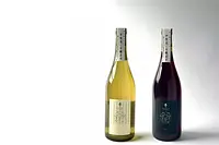 VISONオリジナルワイン完成記念パーティ