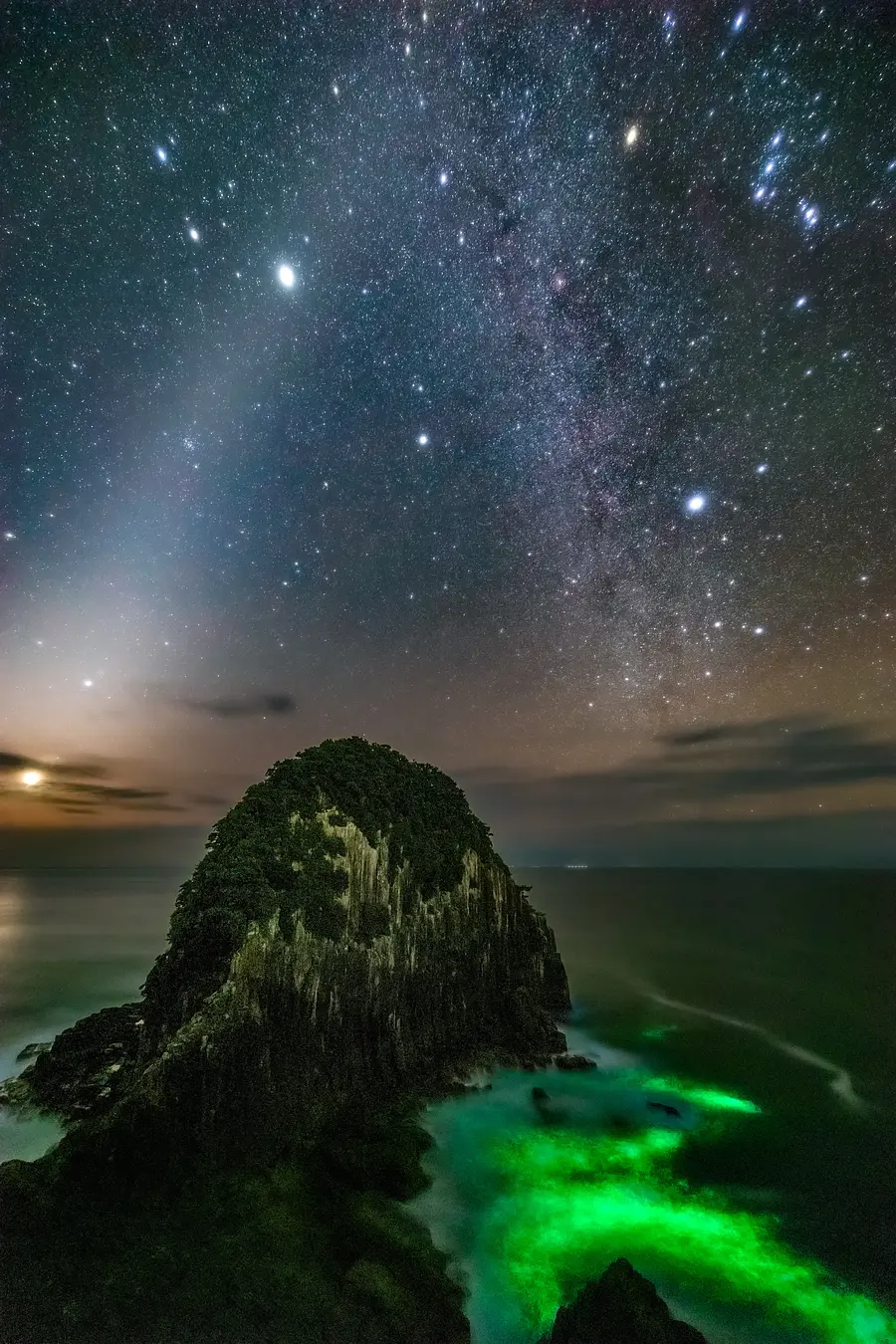 黄道光X（クロス）と夜光虫