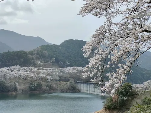 View of Lakeside Kimigano from the shore of the dam lake