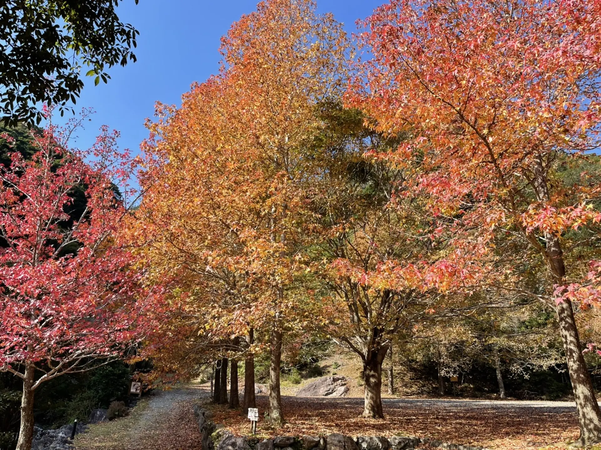 笠木渓谷の紅葉