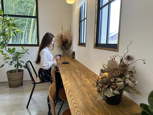 キャスターマミの画像