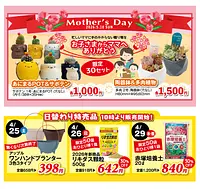 FFCパビリオン 春の園芸フェア