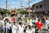 伊勢神宮の神嘗祭を祝う「初穂曳」とは？陸曳・川曳の見どころと2026年最新スケジュールをご紹介【掲載日：2026.10.5】