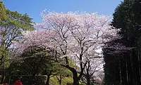 掲揚台