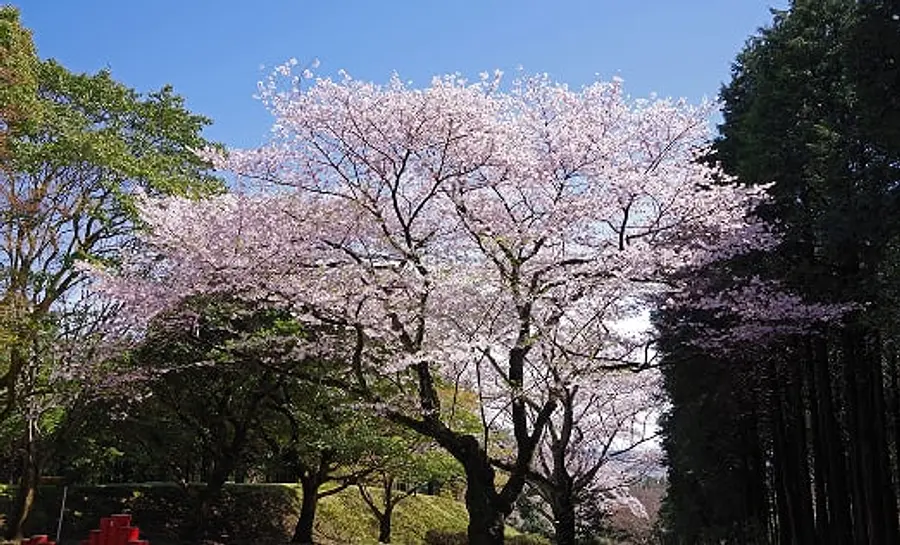 掲揚台
