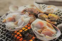 貝焼き