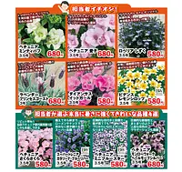 FFCパビリオン 春の園芸フェア