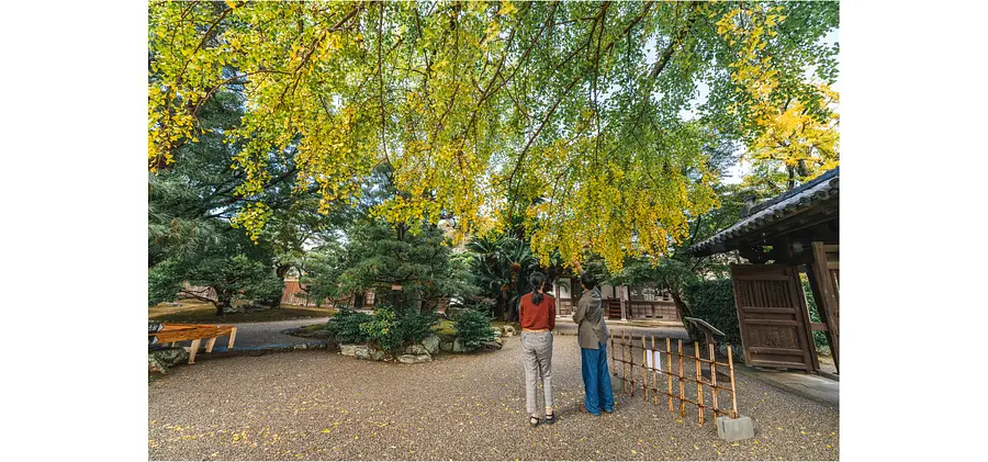 本居宣長モデルコース