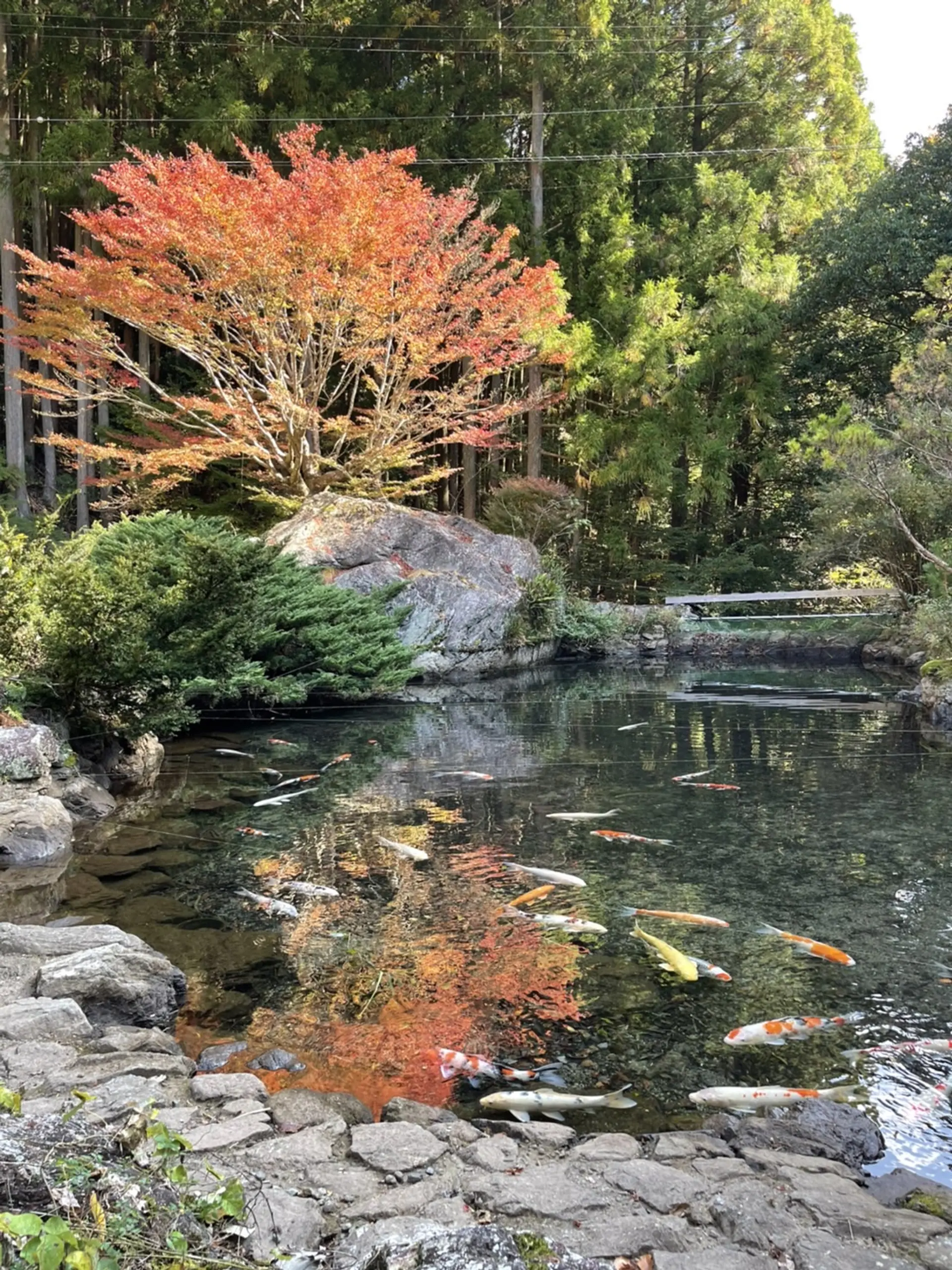 笠木渓谷の紅葉