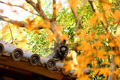 円光寺の紅葉（3）