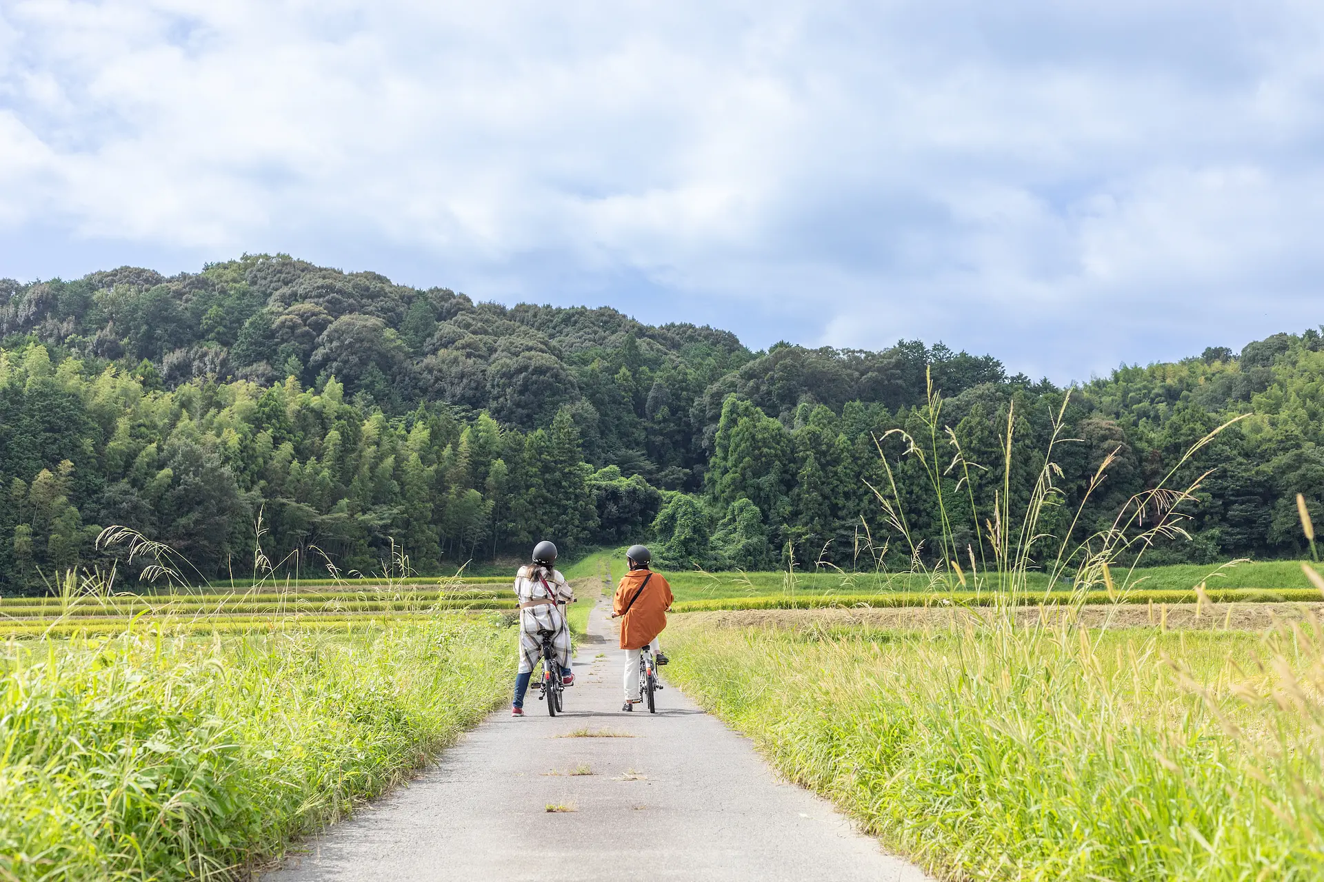 豊かな自然の中を自転車で走ります（二人の後ろ姿）