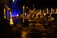 『三重赤目・滝あかり』　2025年10月26日〜2026年1月25日開催