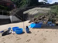 相差磯場体験 in 千鳥ヶ浜（相差旅館組合×三重大学）