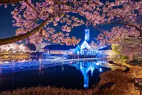 なばなの里イルミネーション