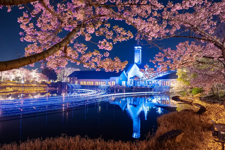 なばなの里イルミネーション