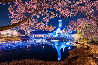 世界の絶景」に選ばれた「光のトンネル」