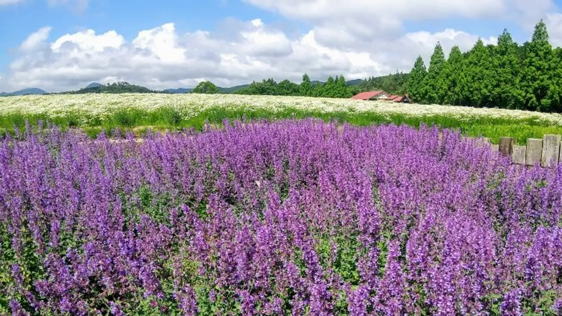 メナード青山リゾート