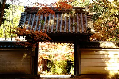 円光寺の紅葉（1）