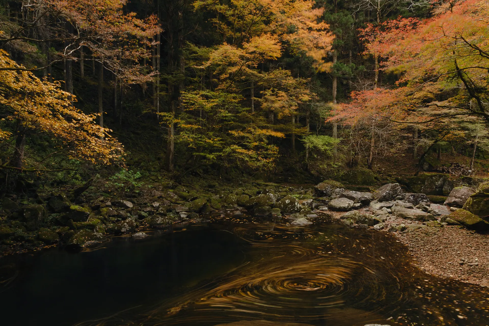 赤目四十八滝　紅葉3