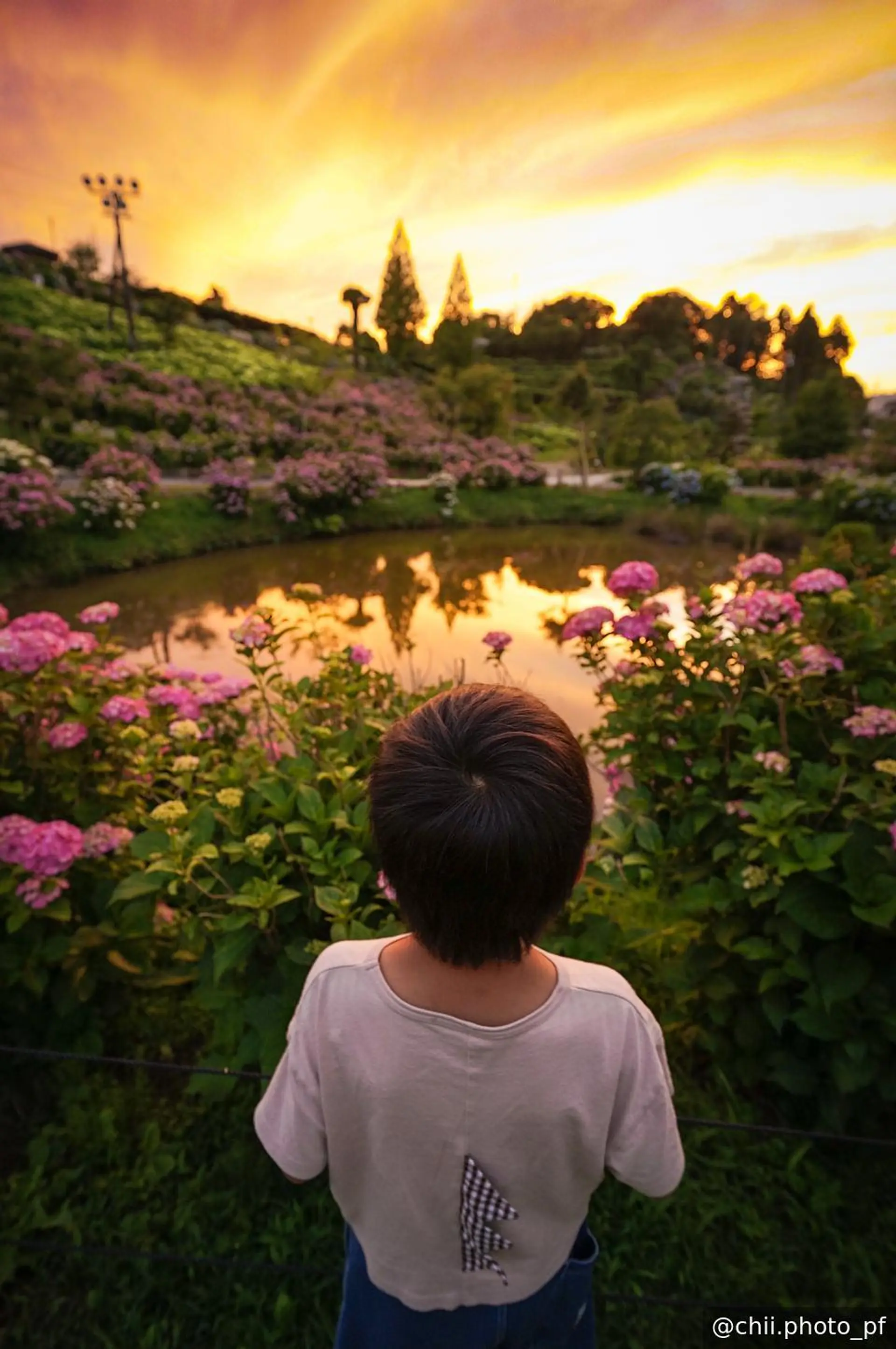 夕景