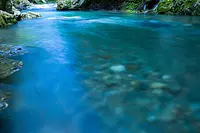 【頭之宮四方神社】水神祭(水祓い神事)