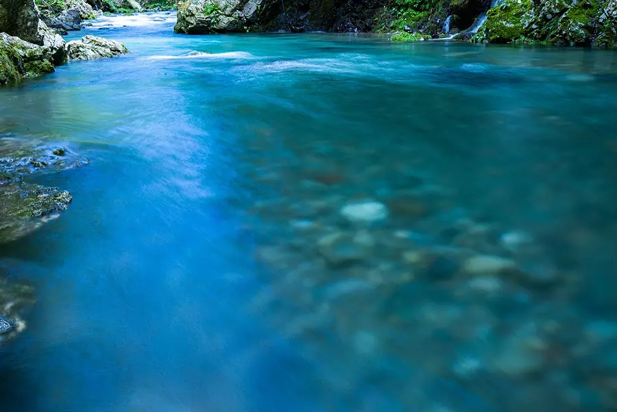 【頭之宮四方神社】水神祭(水祓い神事)