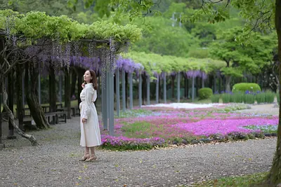 2026年GWに行きたい三重の穴場｜奥伊勢・大紀町で花めぐり＆カフェドライブ