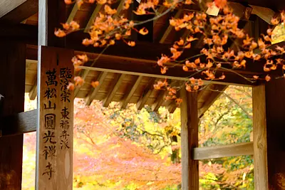 円光寺の紅葉（2）